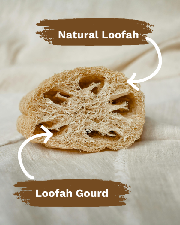 100% Natural Loofah