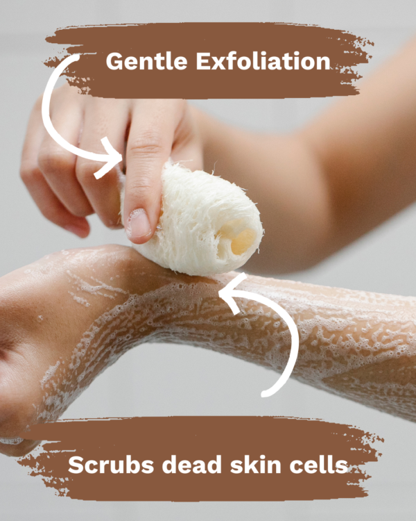 Plant-Based Body Scrubber for Gentle Exfoliation