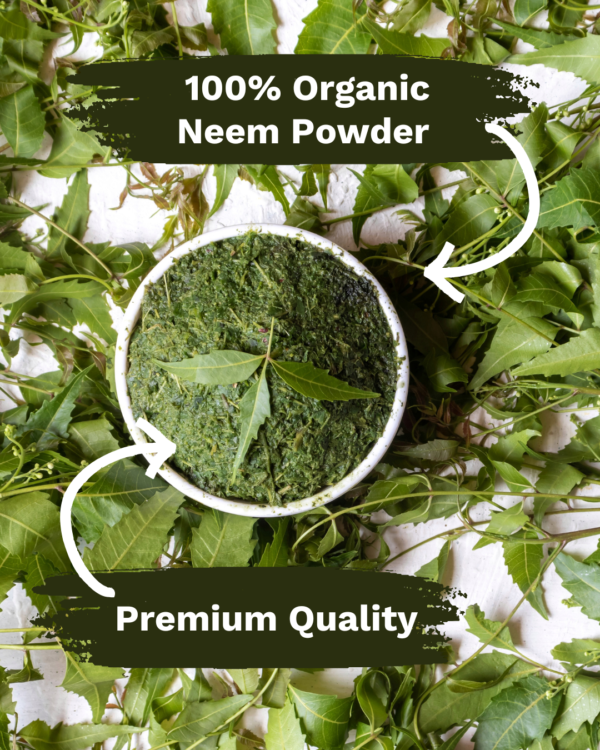 Organic Neem Powder for Skin & Hair