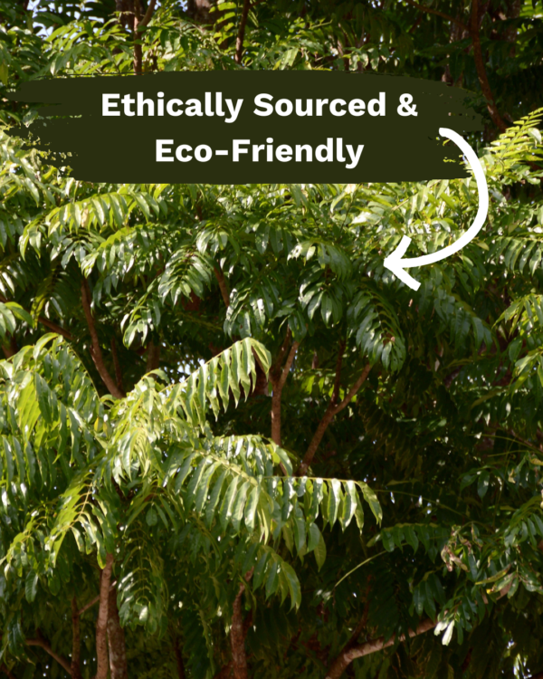 Organic Neem Powder