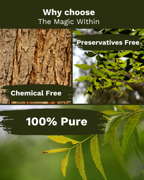 Neem Leaves Powder